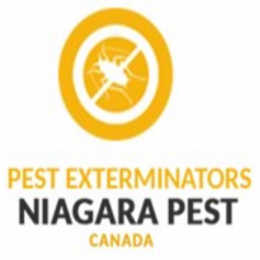 Pest Control Niagara Falls